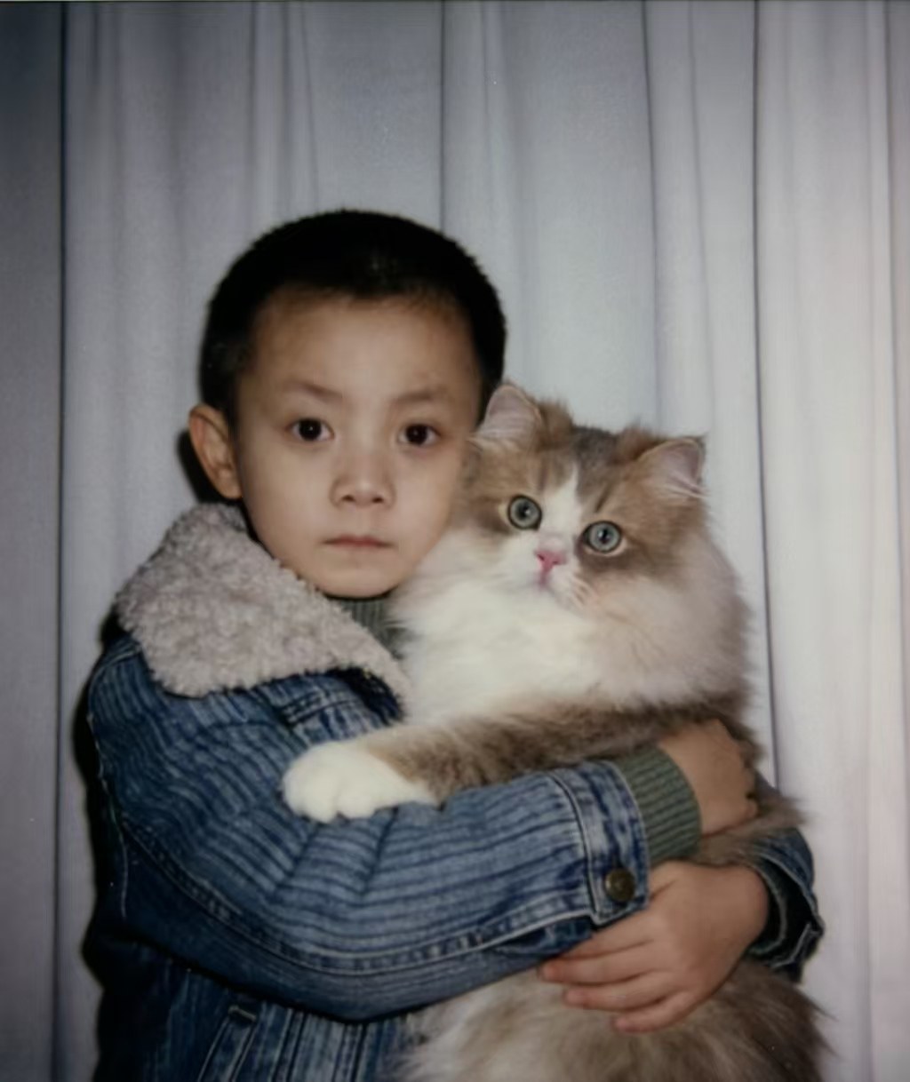 Han Zhang